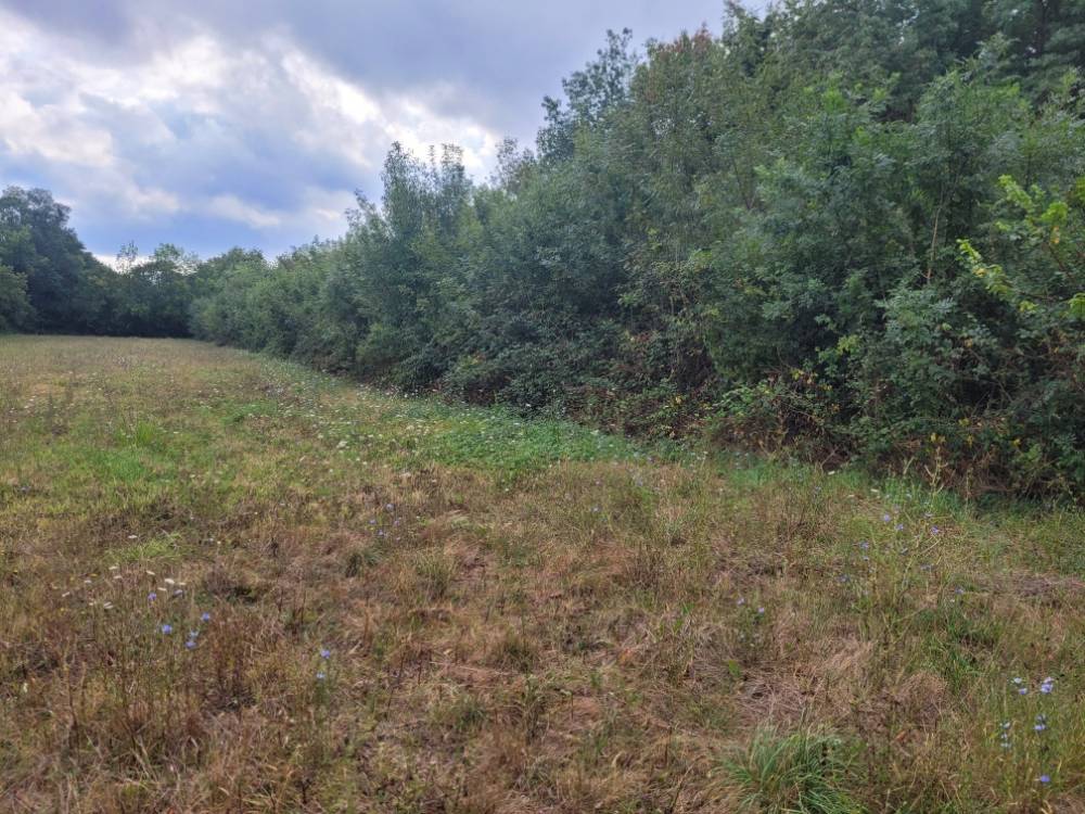 chantier-avant-passage-broyeur---lavernose-lacasse